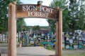 Sign post forest.jpg